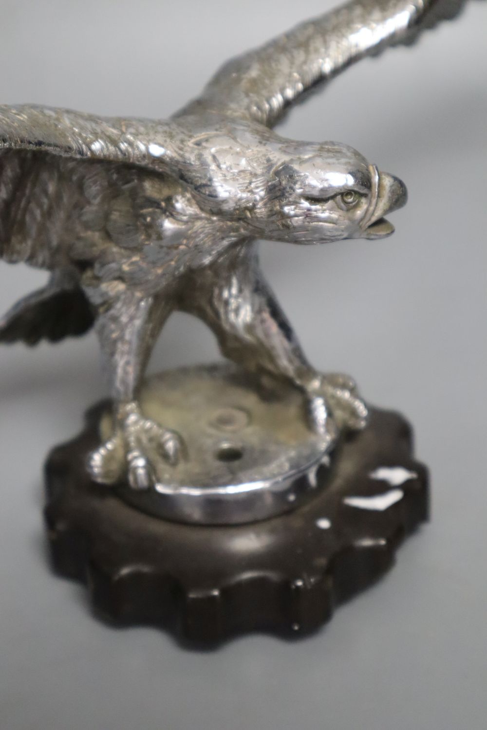 An early 20th century chromium car mascot of an eagle with outstretched wings, wing span 33cm